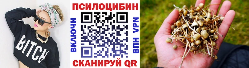 Купить Сольвычегодск Псилоцибиновые грибы MAGIC MUSHROOMS