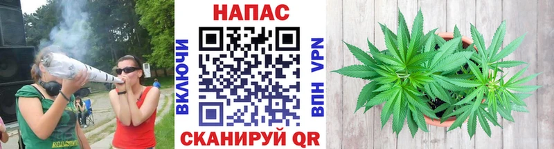 Каннабис Bruce Banner Сольвычегодск