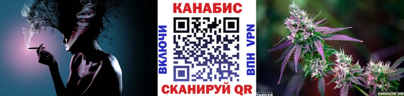 Купить закладки  Сольвычегодск  Шишки марихуана SATIVA & INDICA 